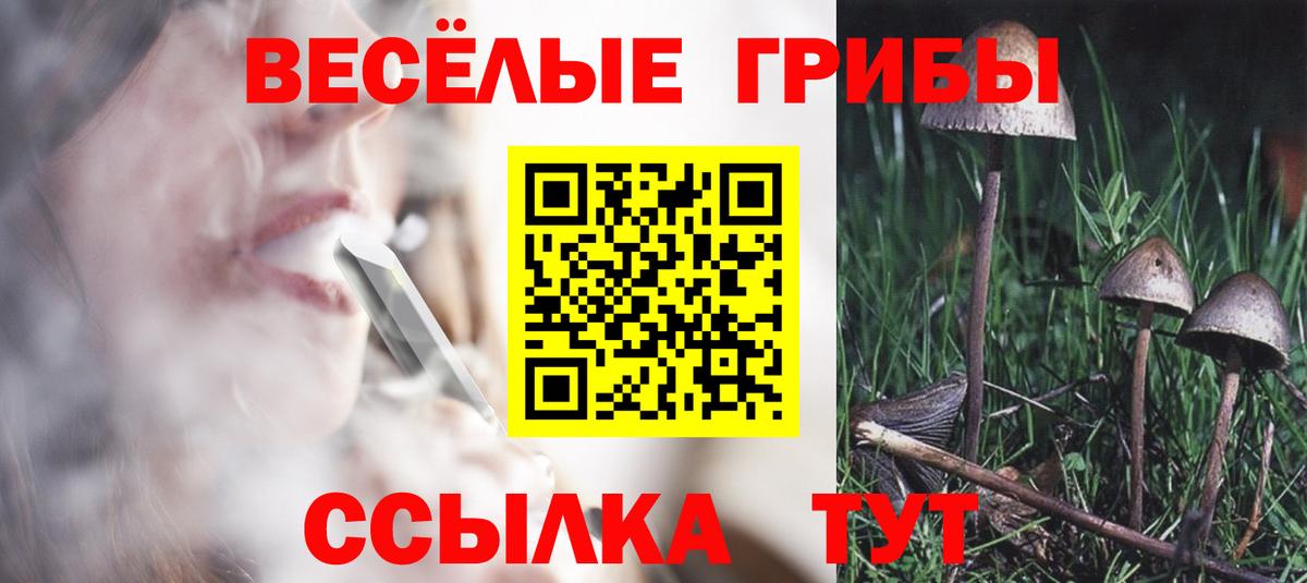 Сухой Лог  Галлюциногенные грибы GOLDEN TEACHER  Вход с VPN 